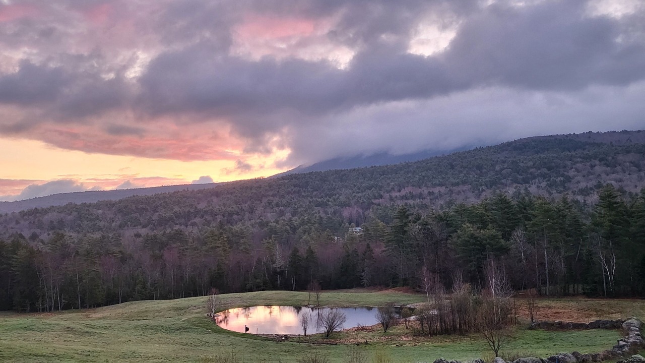 Photo of Outdoor in Elkins
