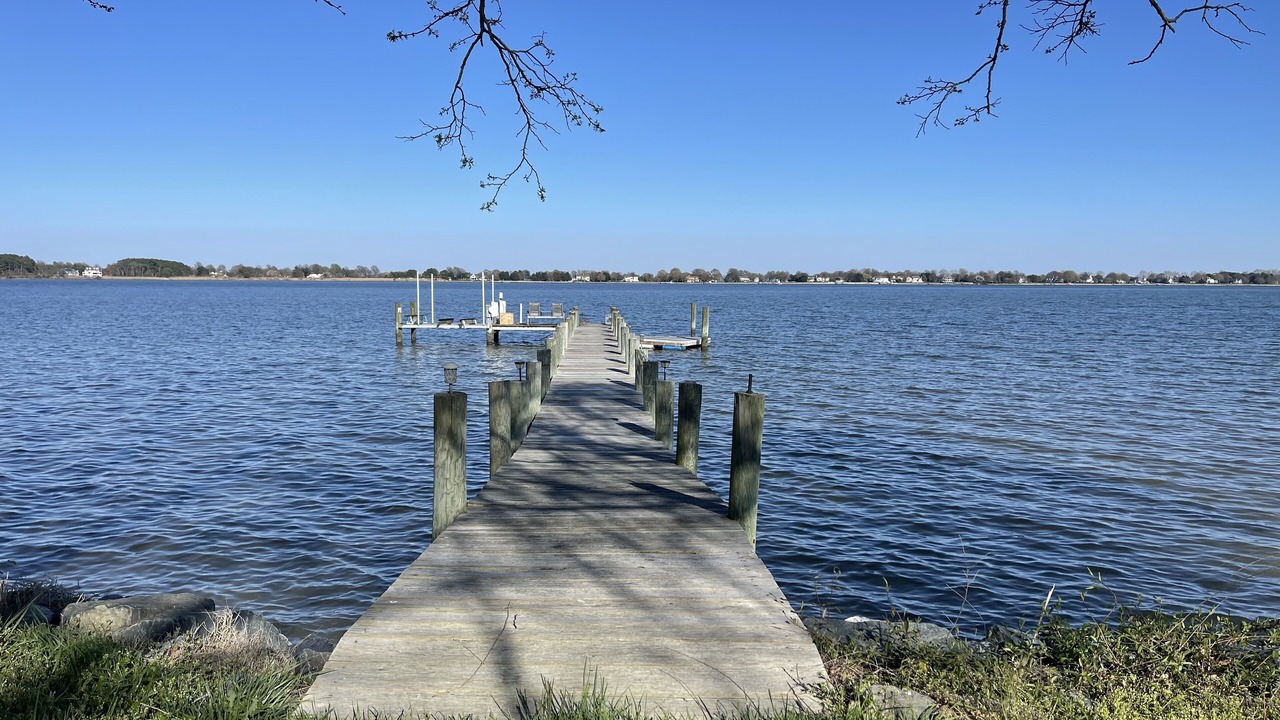 Photo of Outdoor in Stevensville