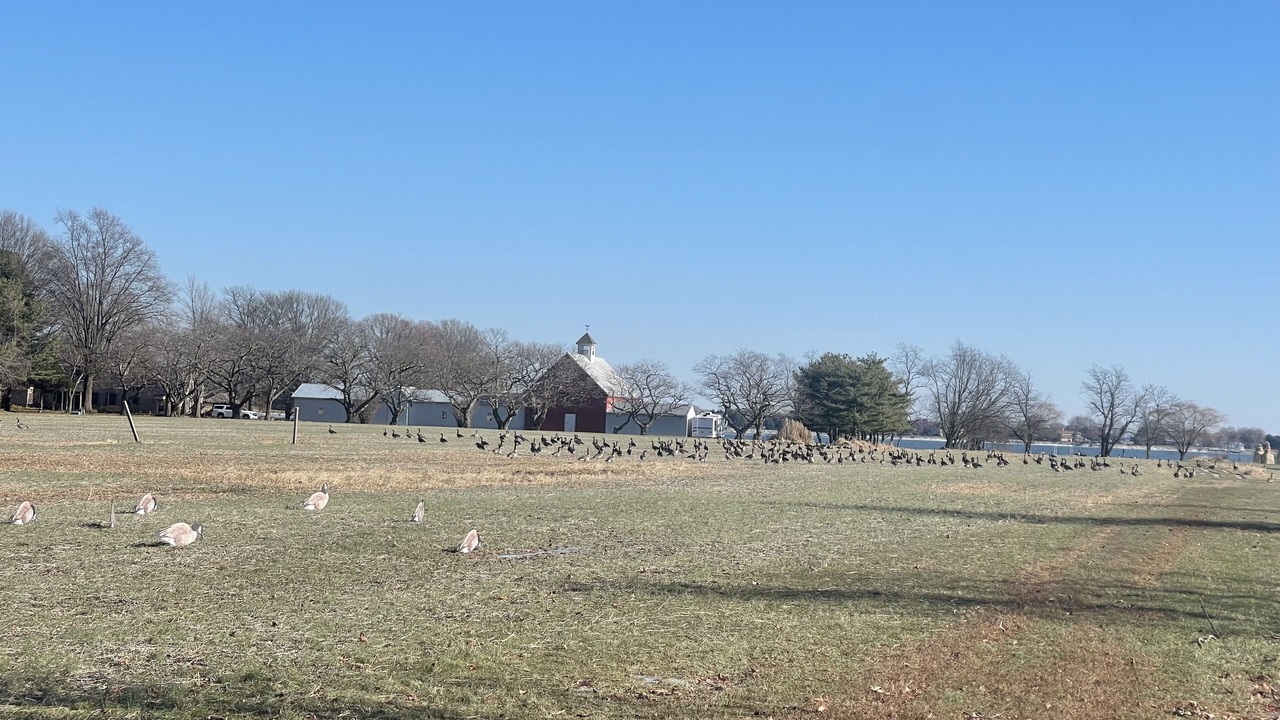 Photo of Outdoor in Stevensville