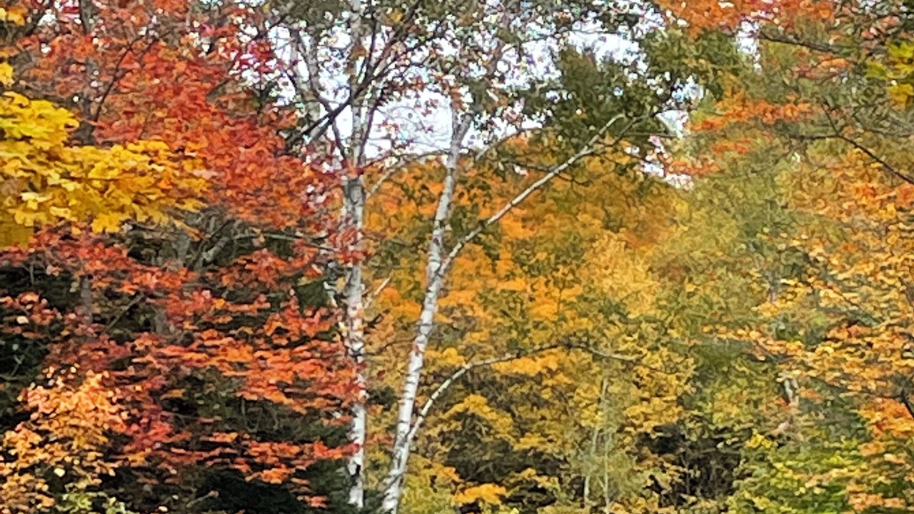Photo of Outdoor in Rye