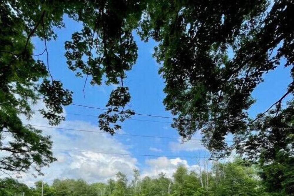 Photo of Outdoor in Rhinebeck