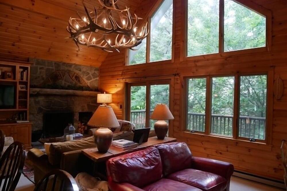 Photo of Livingroom in Bromley Mountain