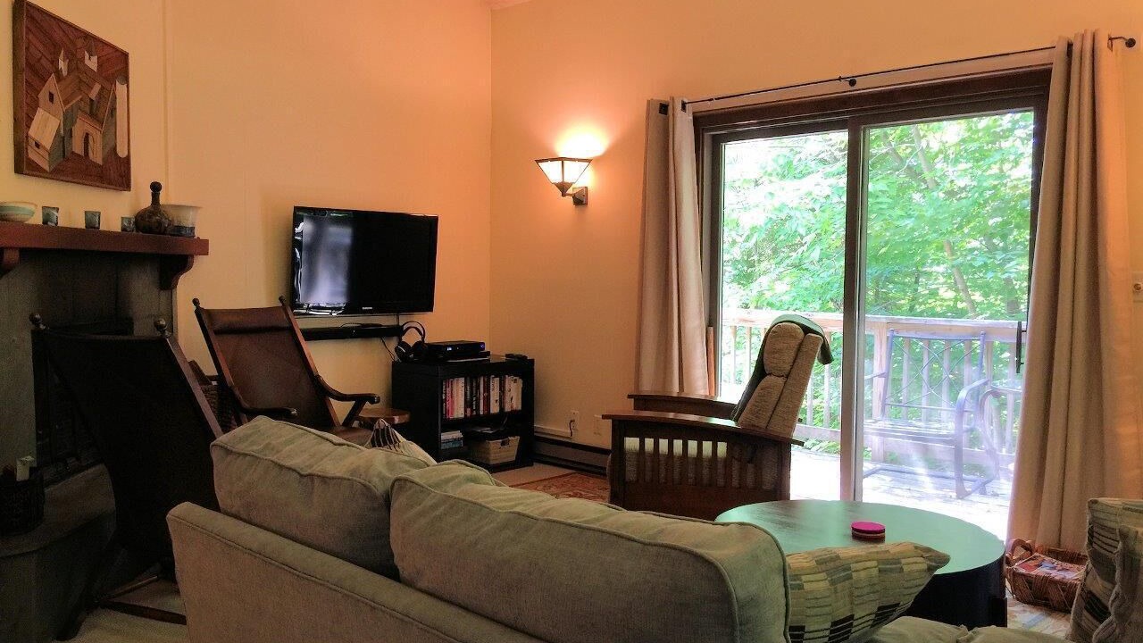Photo of Livingroom in Bromley Mountain