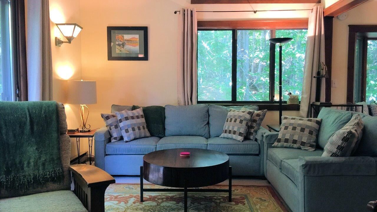 Photo of Livingroom in Bromley Mountain
