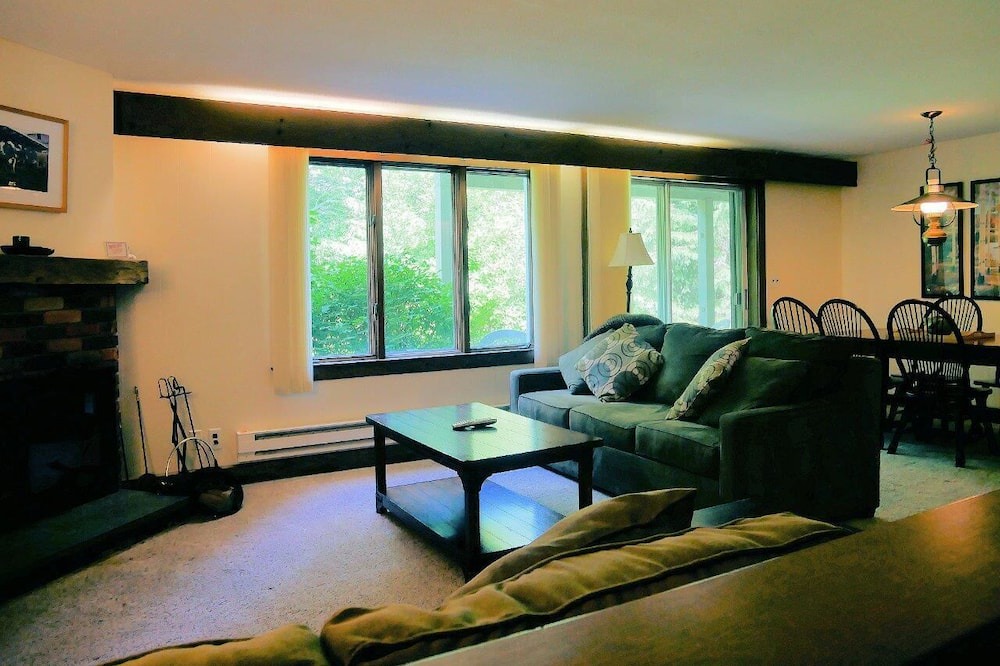 Photo of Livingroom in Bromley Mountain