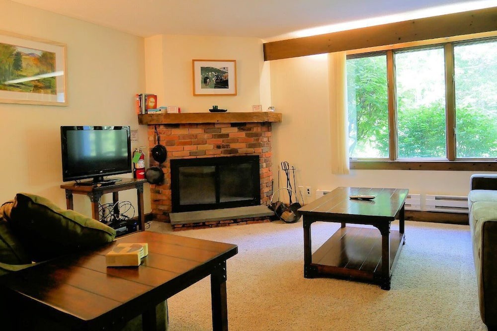 Photo of Livingroom in Bromley Mountain
