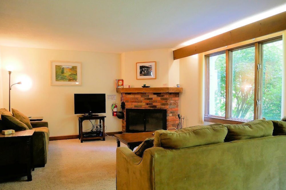 Photo of Livingroom in Bromley Mountain