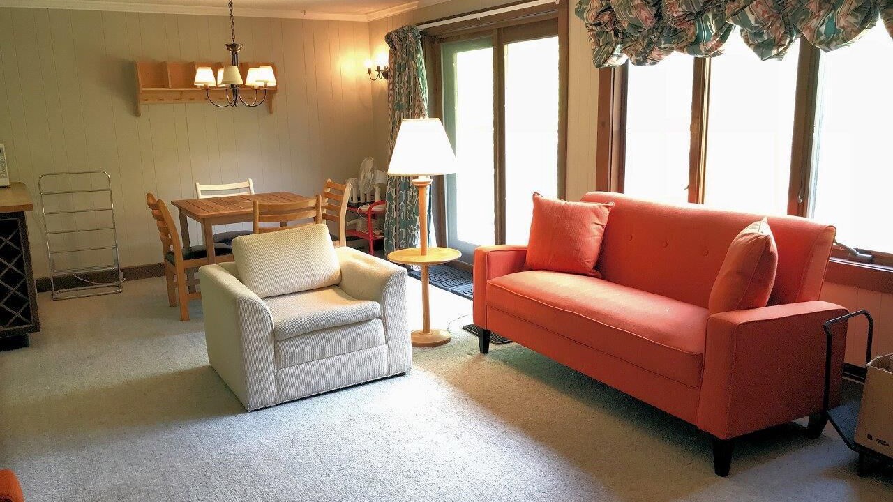Photo of Livingroom in Bromley Mountain