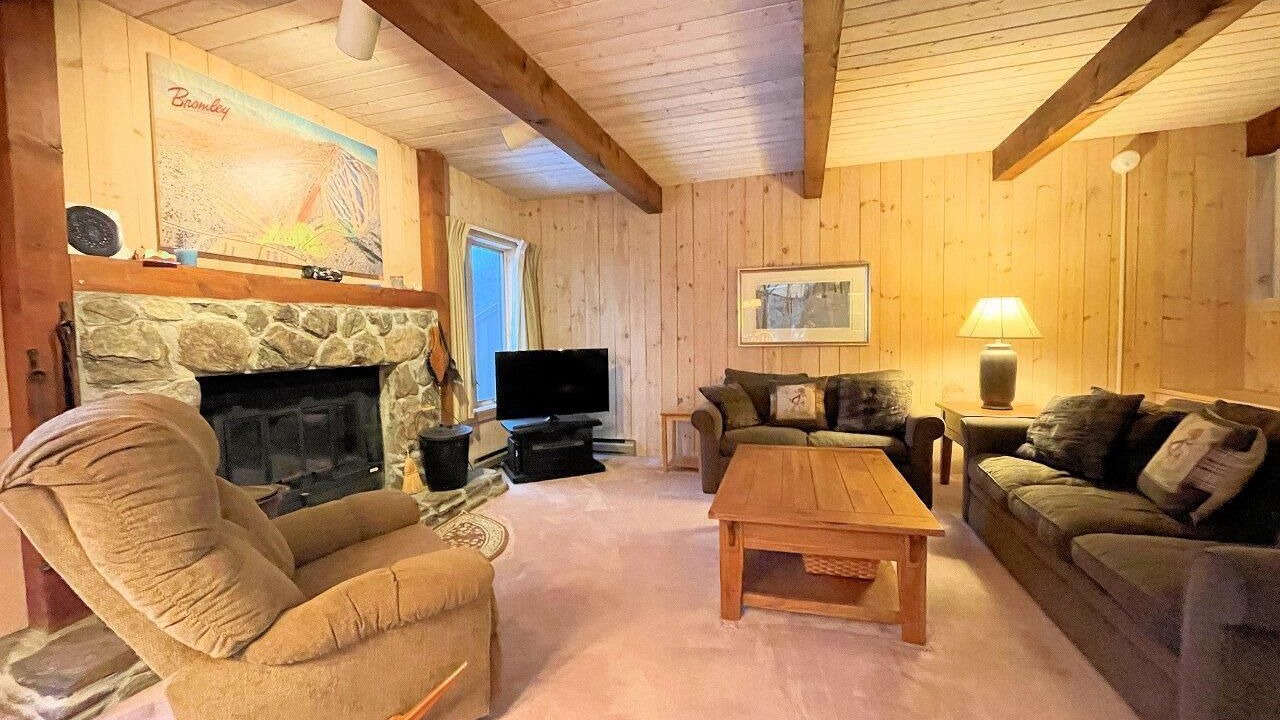 Photo of Livingroom in Bromley Mountain