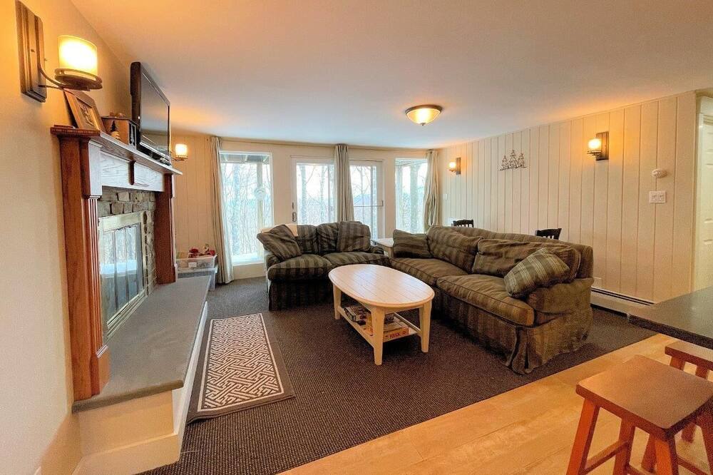 Photo of Livingroom in Bromley Mountain