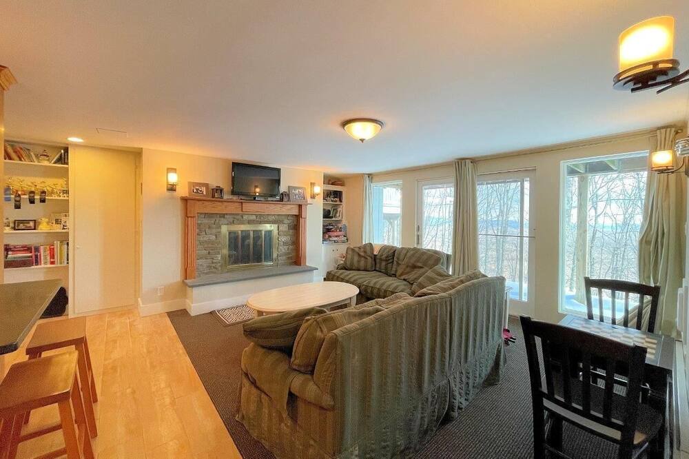 Photo of Livingroom in Bromley Mountain