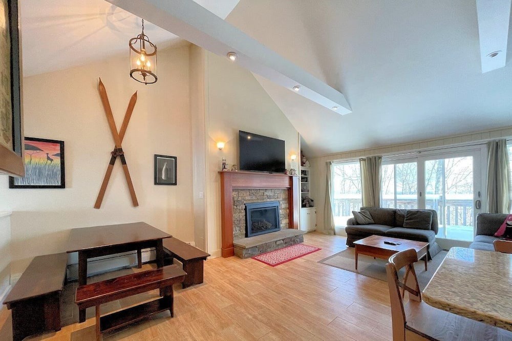 Photo of Livingroom in Bromley Mountain
