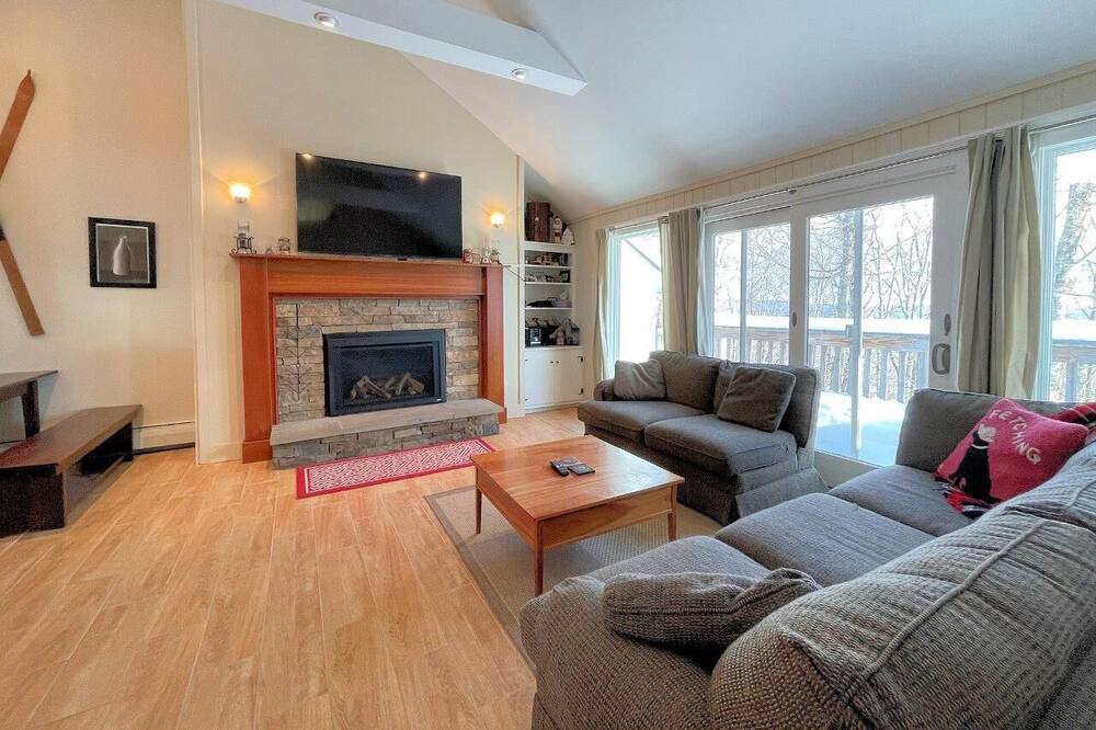 Photo of Livingroom in Bromley Mountain