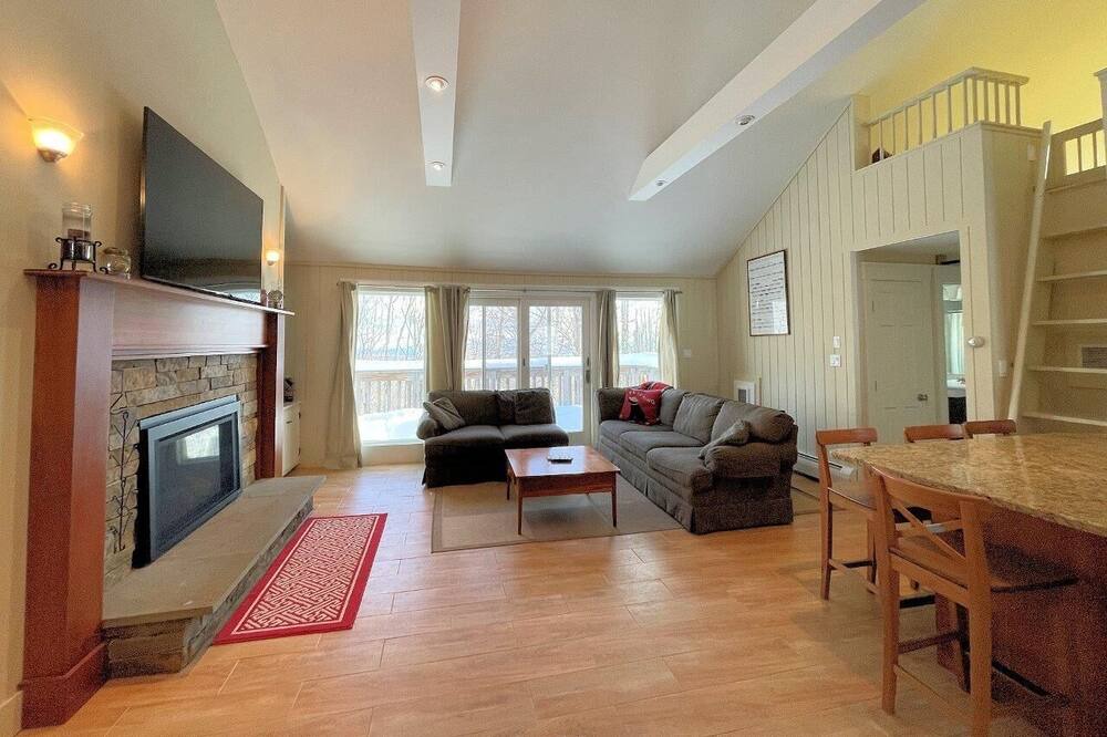 Photo of Livingroom in Bromley Mountain