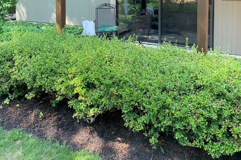 Photo of Outdoor in Gloucester