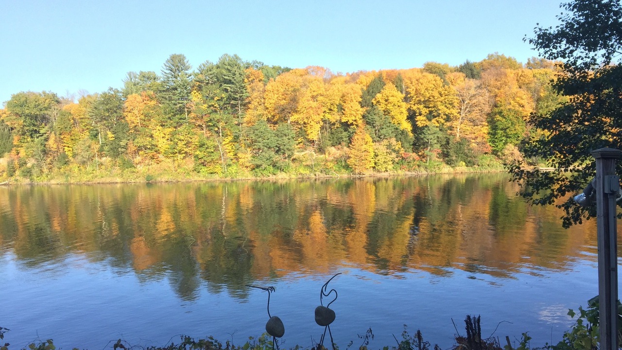 Photo of Outdoor in Springfield