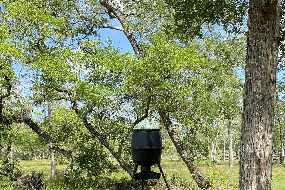 Photo of Outdoor in Lake Jackson