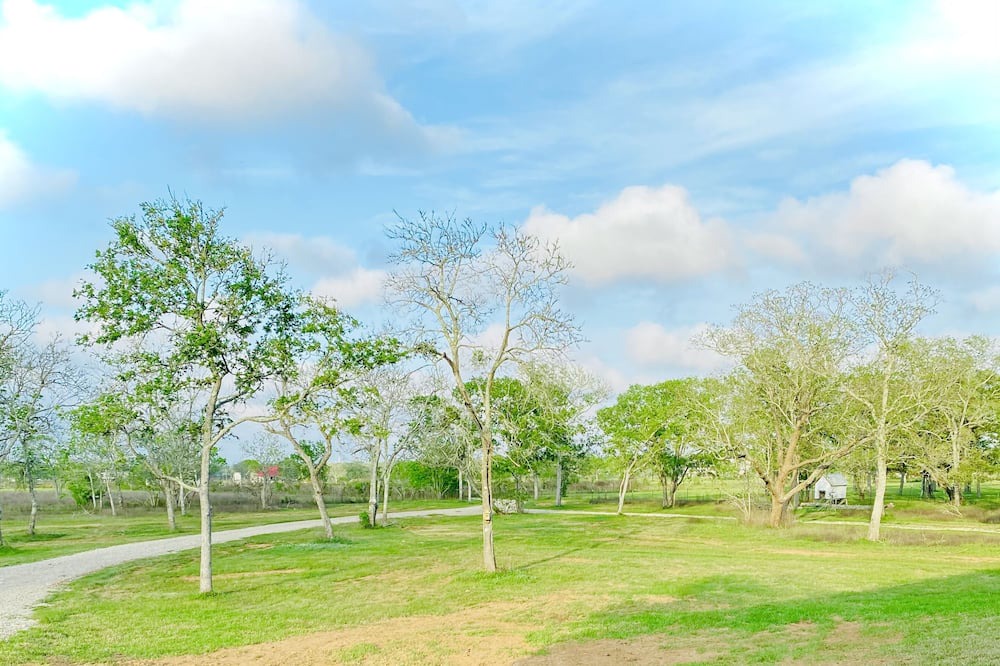 Photo of Others in Lake Jackson
