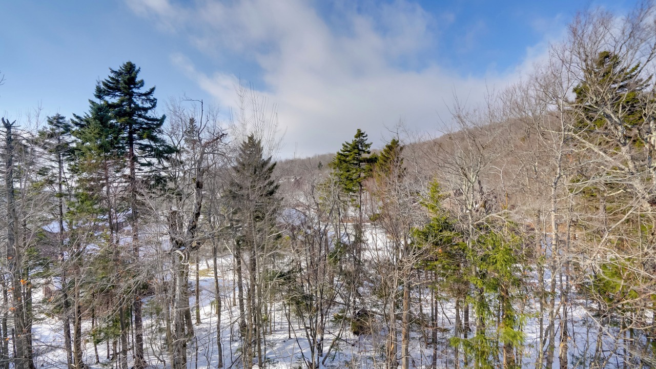 Photo of Others in Bromley Mountain