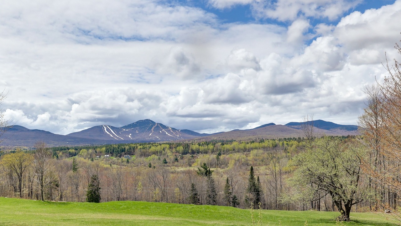 Photo of Outdoor in Jay