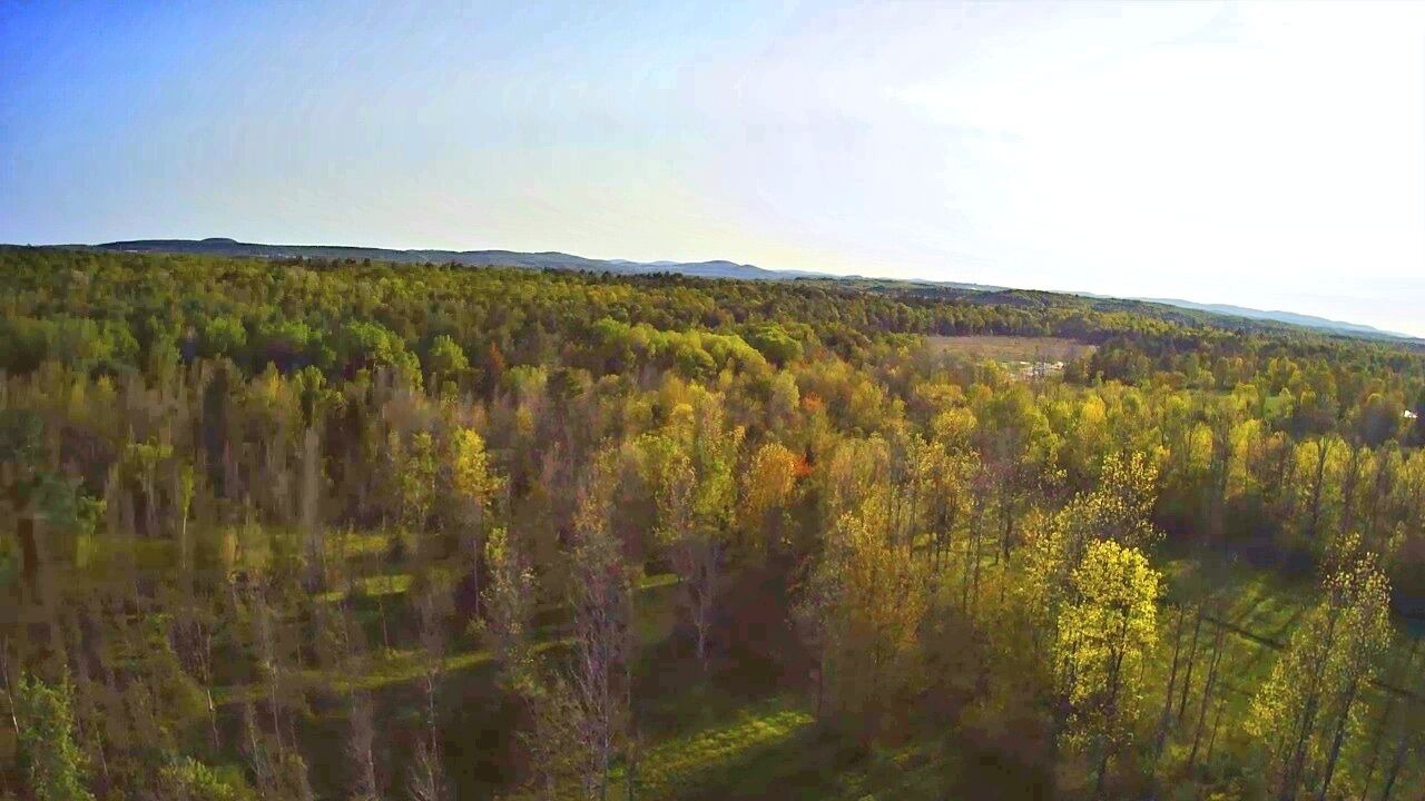 Photo of Others in Town of Root