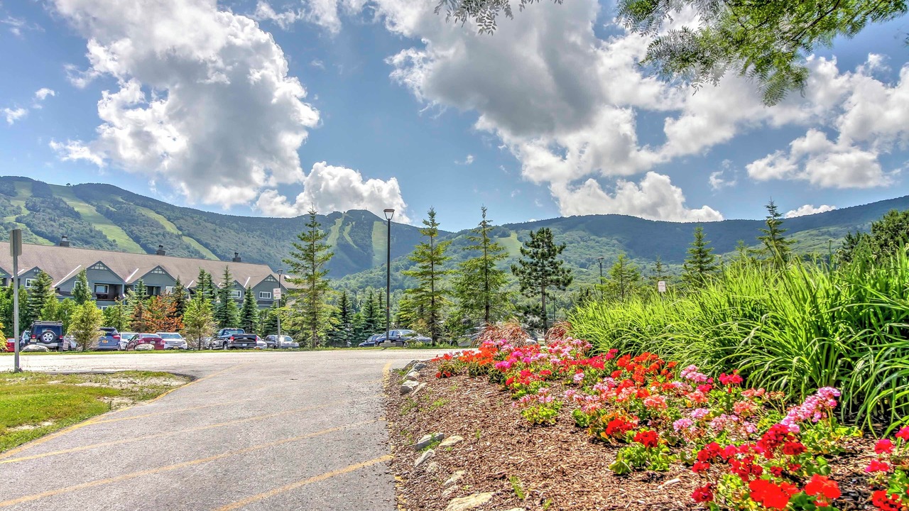 Photo of Others in Killington