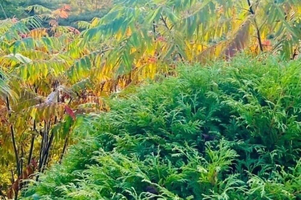 Photo of Outdoor in Waterbury