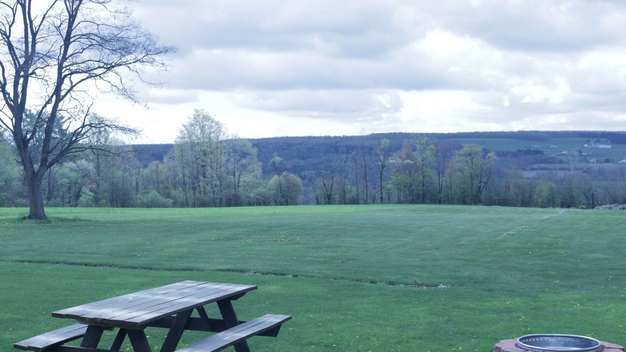 Photo of Outdoor in Dundee