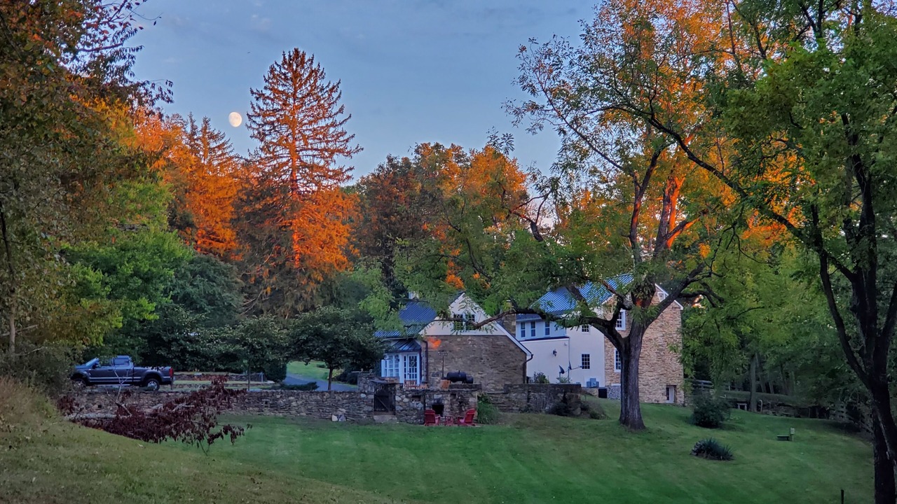 Photo of Others in Middleburg