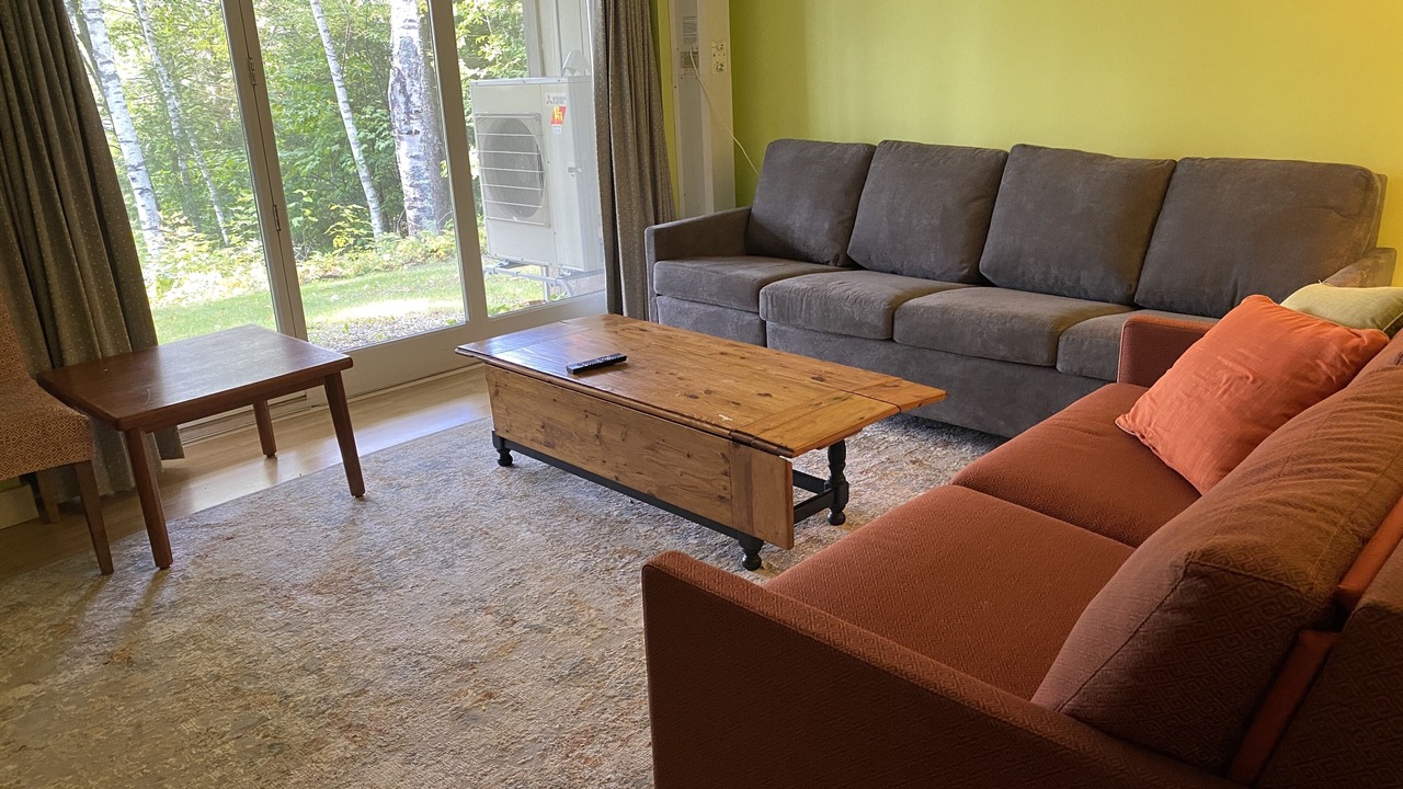 Photo of Livingroom in Sunapee