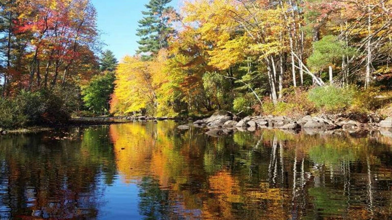 Photo of Outdoor in Carroll County