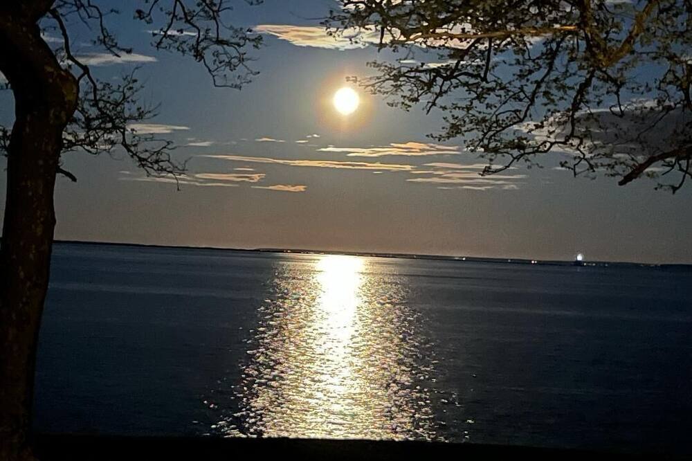 Photo of Others in East Marion