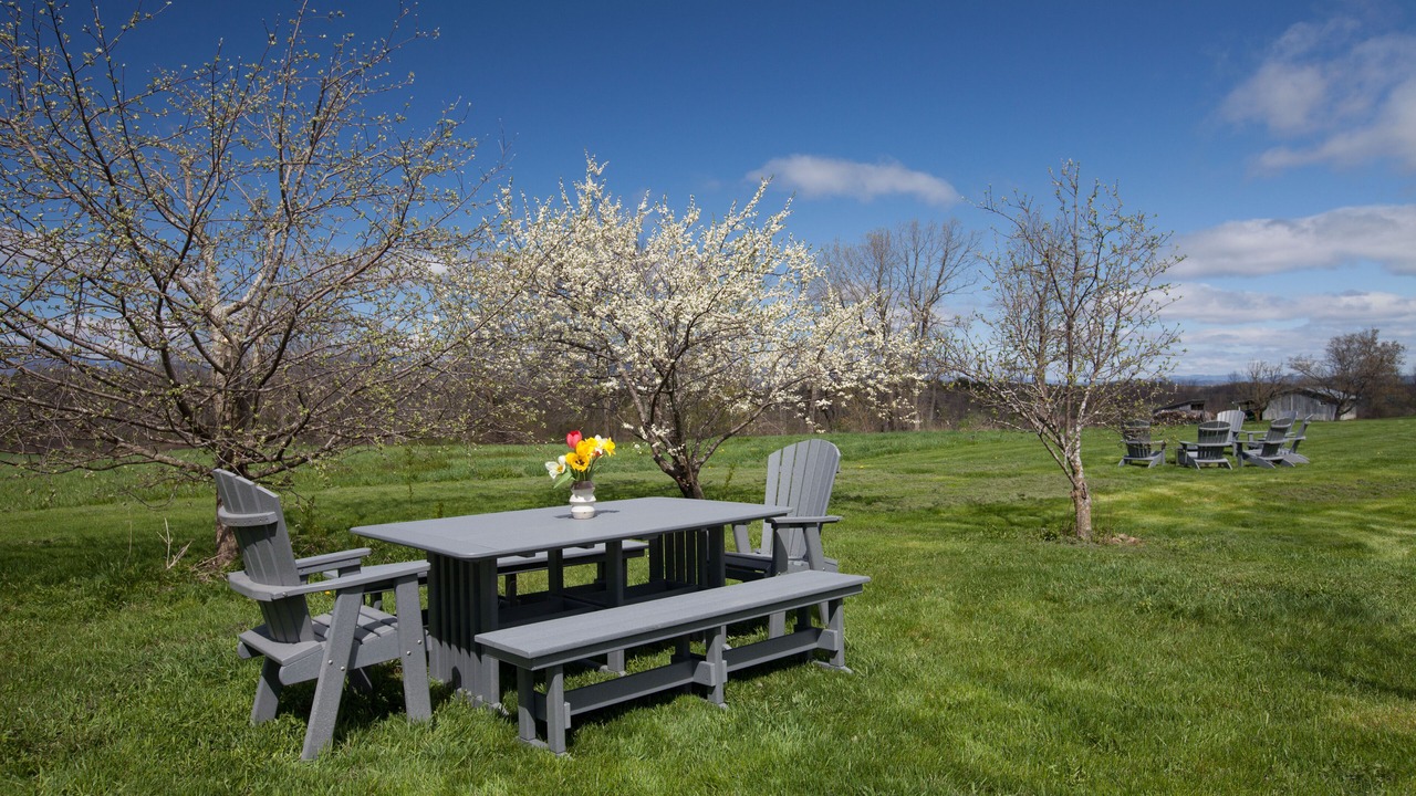 Photo of Outdoor in Addison