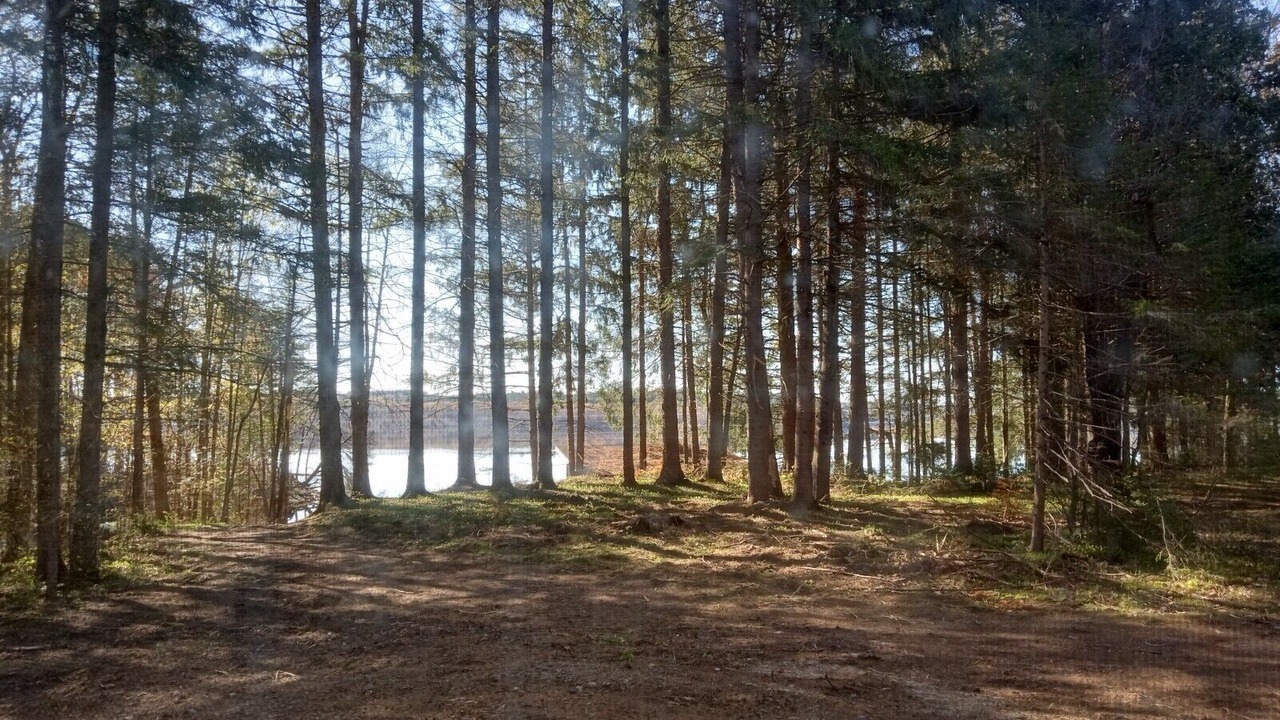 Photo of Outdoor in Remsen