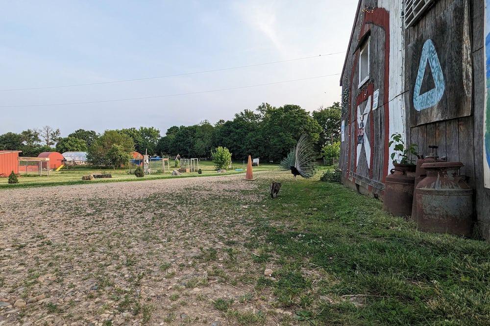 Photo of Outdoor in Winchester