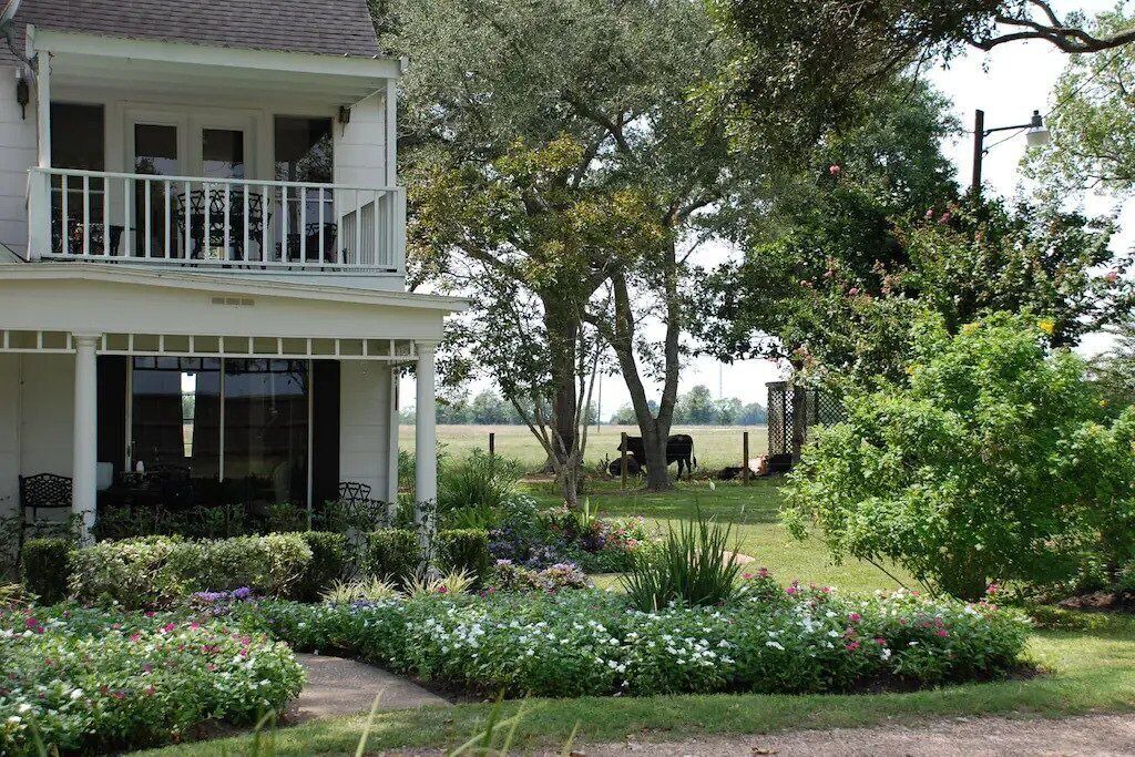 Photo of Outdoor in Damon