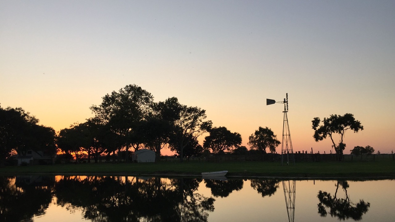 Photo of Outdoor in Damon