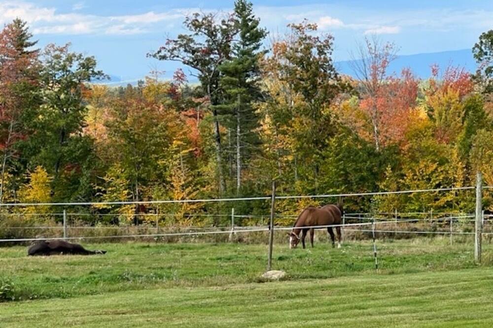 Photo of Others in Lochmere