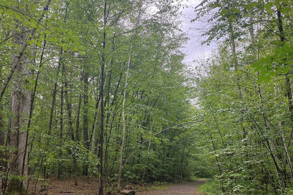 Photo of Outdoor in Concord