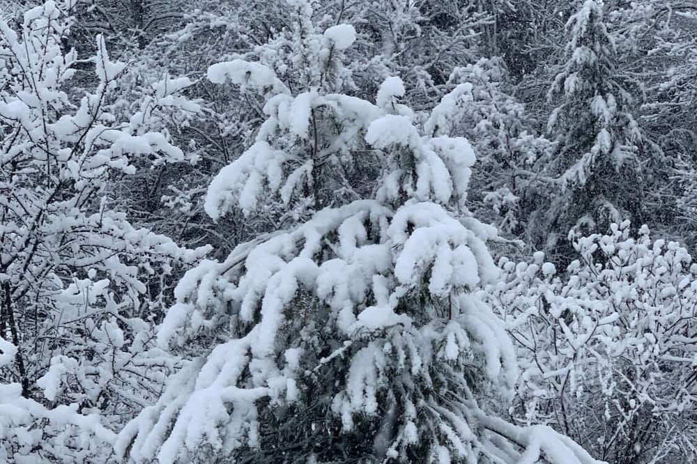 Photo of Outdoor in Northfield