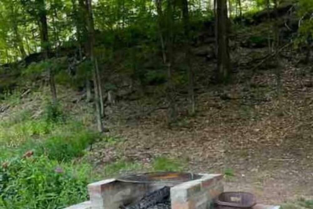 Photo of Outdoor in Palenville