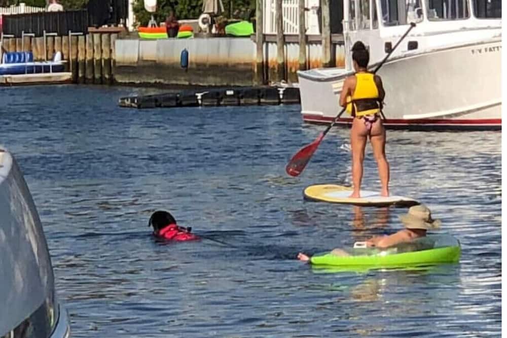 Photo of Others in Massapequa