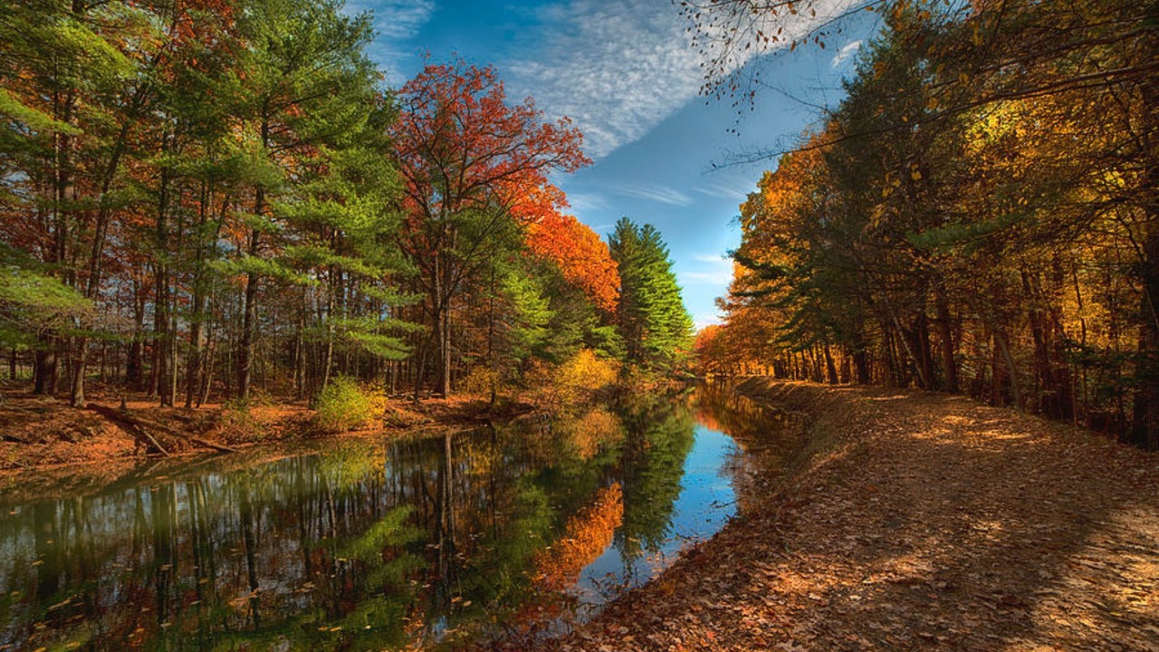 Photo of Others in Nashua