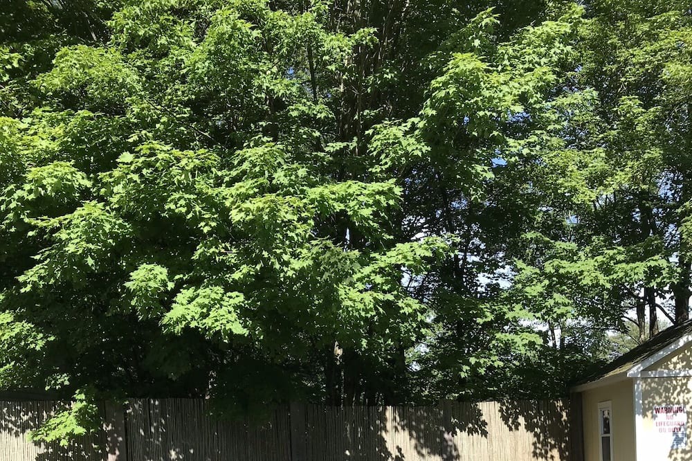 Photo of Outdoor in White Lake