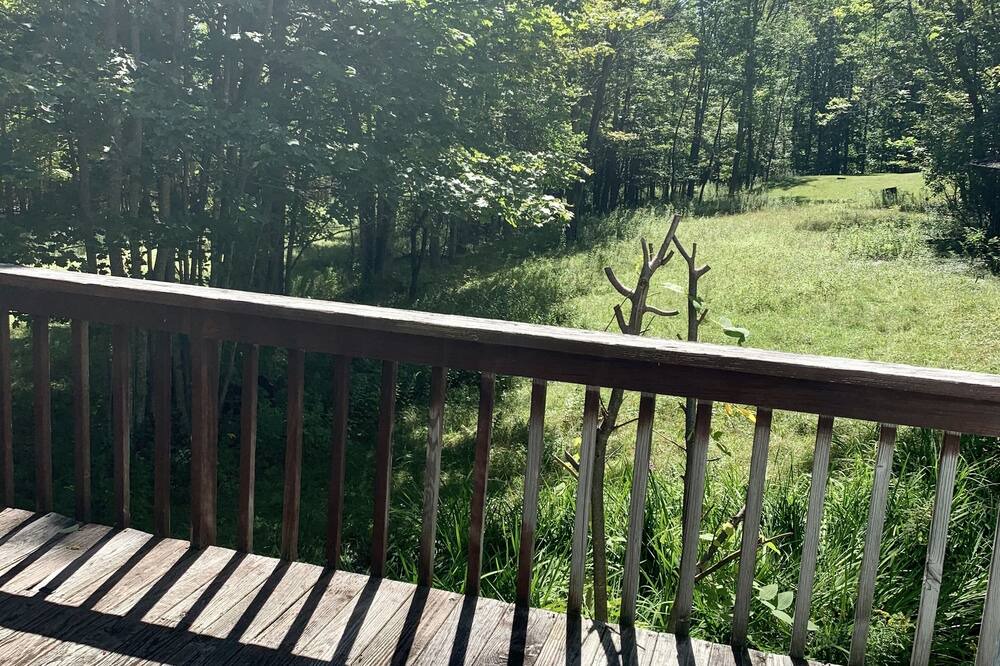 Photo of Patio Balcony in East Jewett