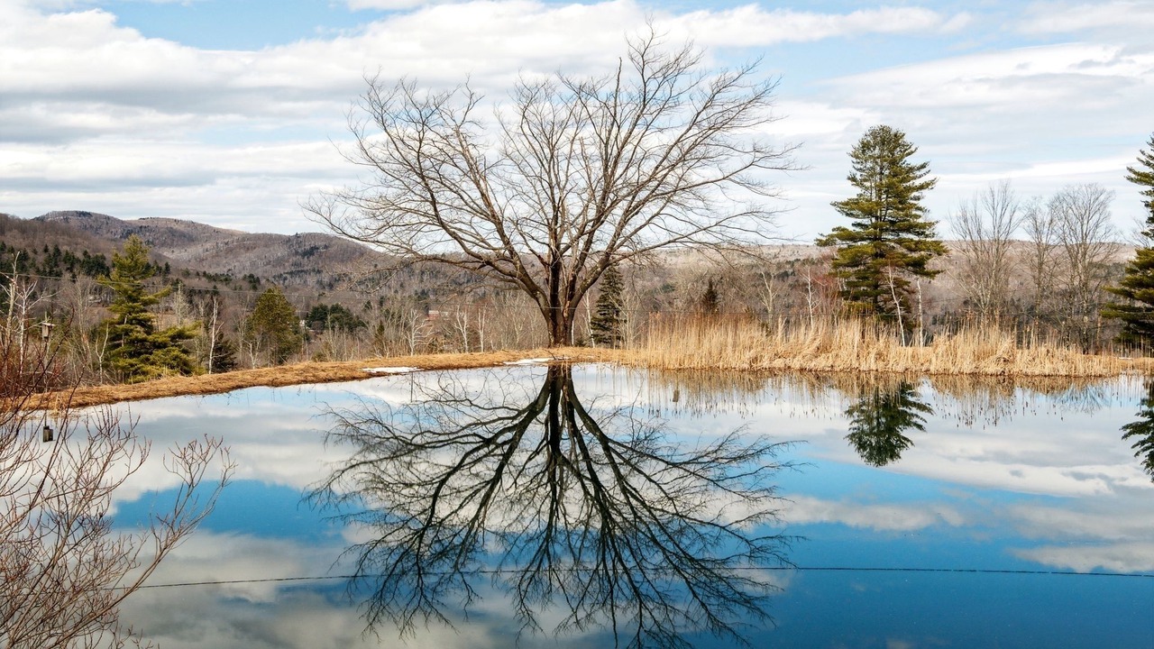 Photo of Outdoor in Reading