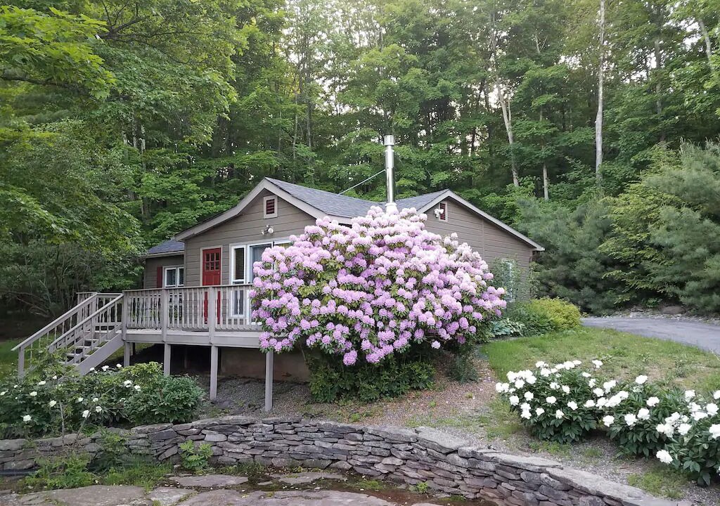 Photo of Outdoor in East Jewett
