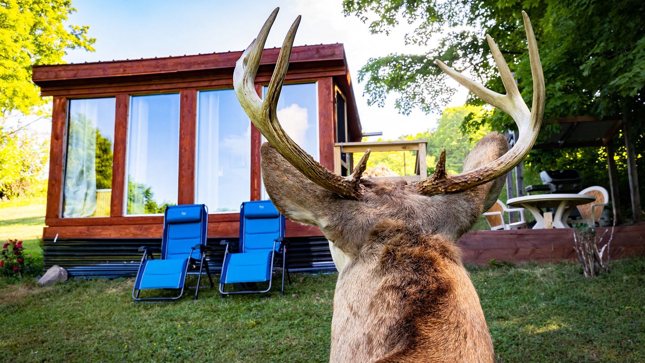 Photo of Outdoor in Town of Broome