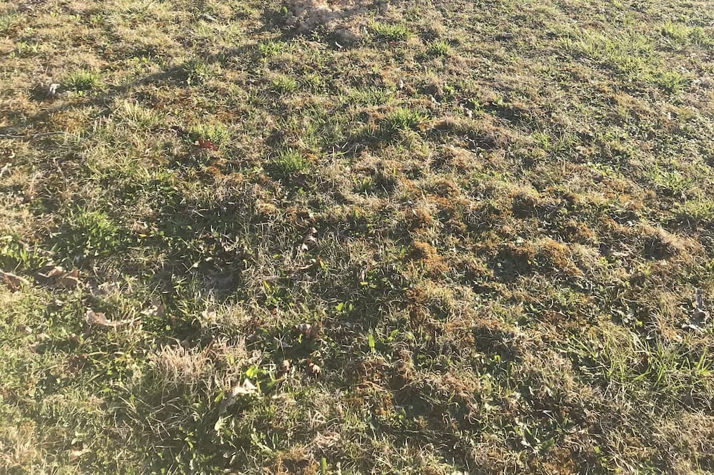 Photo of Outdoor in Pipestem