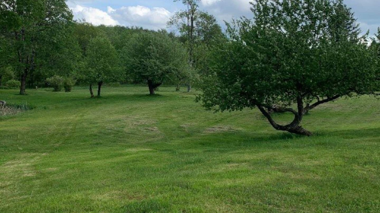 Photo of Others in Livingston Manor